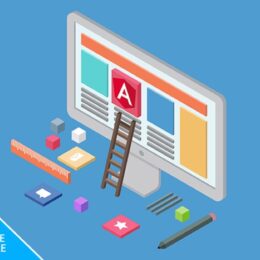 Immersive Angular 2 Bundle: 44 Intensive Hours on the Web's Most ...