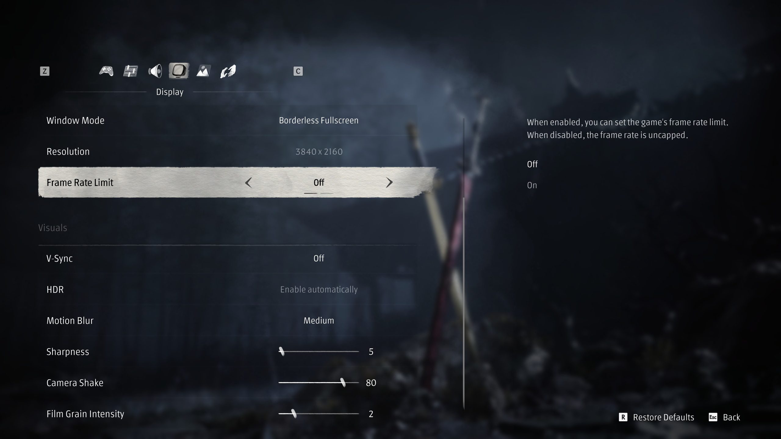 A game's display settings menu displays 
