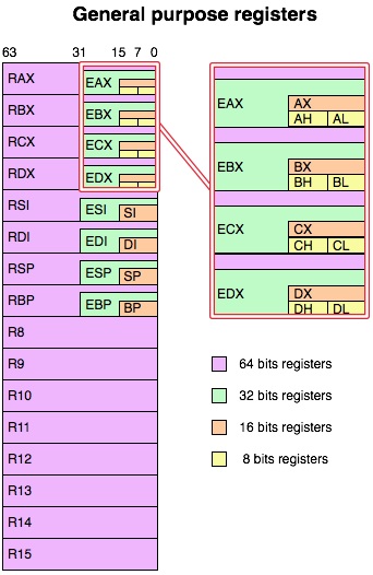 Windows 11 chuẩn bị hỗ trợ Intel APX, mở ra tiềm năng tăng hiệu năng CPU thế hệ mới 4 A diagram titled 'General purpose registers' shows different registers (RAX, RBX, etc.) with color coding for 64, 32, 16, and 8 bits.