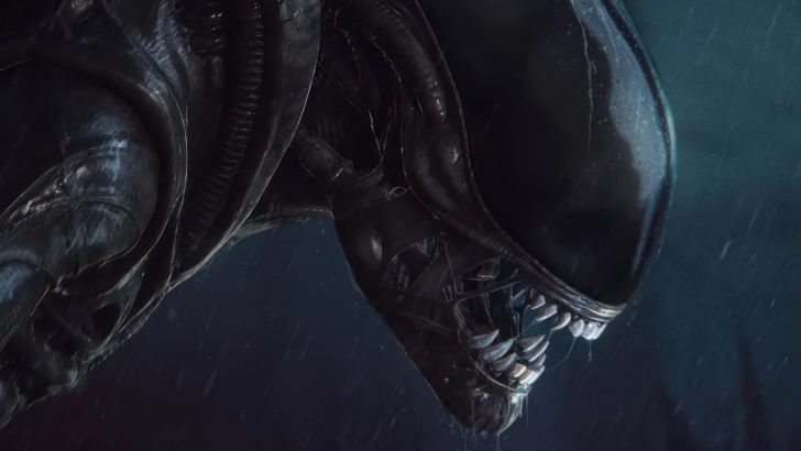 A detailed close-up of a Xenomorph from Alien: Isolation 2, showing its distinctive elongated head and sharp teeth, with a dark atmospheric background.